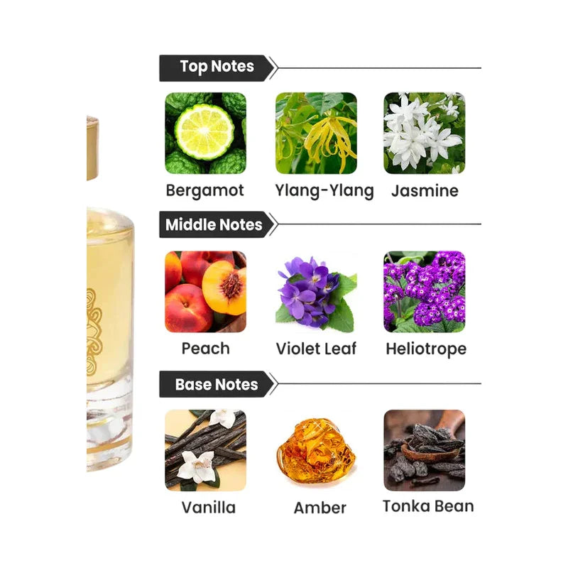 Pyramide olfactive de parfum avec notes de tête bergamote, de cœur pêche et de fond vanille.