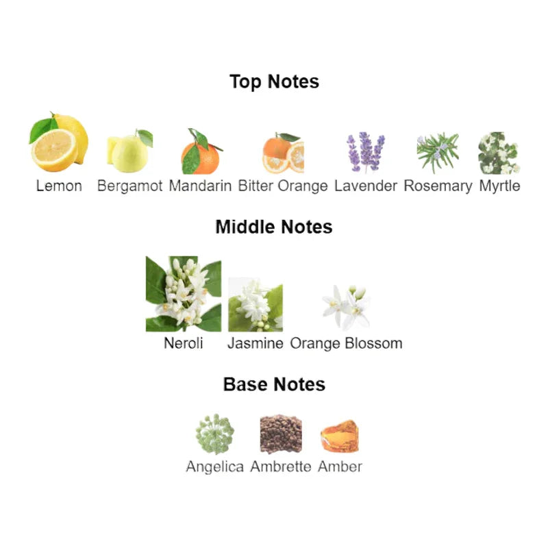 Pyramide olfactive d'un parfum avec notes de tête citron, lavande, notes de cœur jasmin et fond ambre.