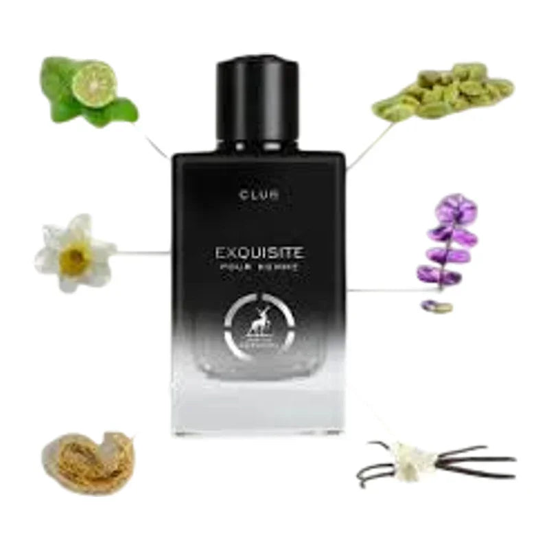 Parfum Exquisite pour homme dans un flacon noir et transparent entouré de notes olfactives