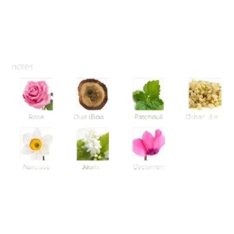 Pyramide olfactive avec notes de rose, oud, patchouli, orban, narcisse, jasmin et cyclamen.