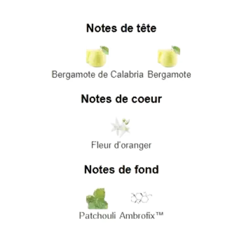 Pyramide olfactive d'un parfum avec notes de tête bergamote, cœur fleur d'oranger et fond patchouli.
